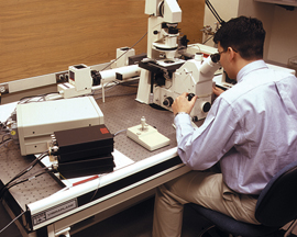 person using isolated_microscope