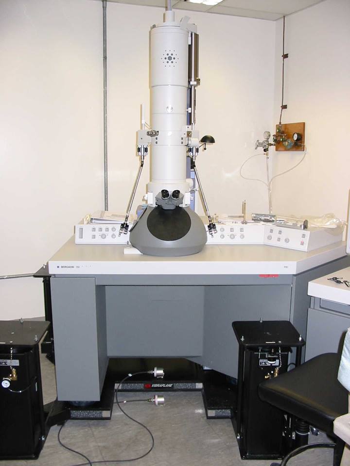 9300 Series Vibration Isolation Platform supporting a scanning electron microscope