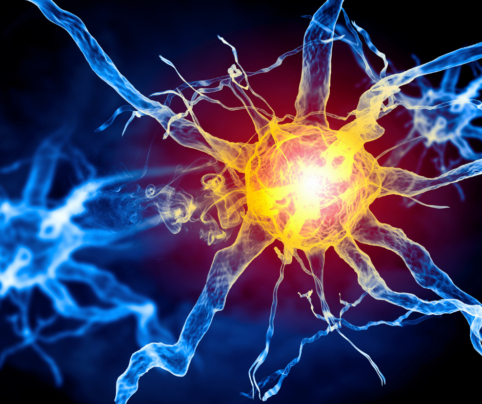 A vibrant digital illustration of a neuron with a glowing center in yellow and orange, surrounded by branching structures in blue, against a dark background. The image depicts electrical activity and neural connections.
